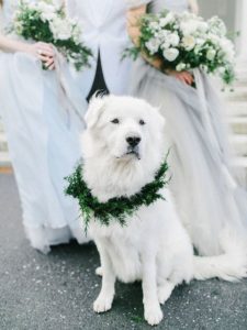evegreen-dog-wedding-wreath